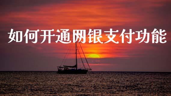 如何开通网银支付功能_https://cj001.lansai.wang_理财问答_第1张