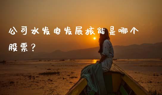 公司水发电发展核能是哪个股票？_https://cj001.lansai.wang_期货问答_第1张