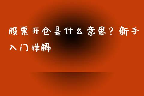 股票开仓是什么意思？新手入门详解_https://cj001.lansai.wang_财经问答_第1张