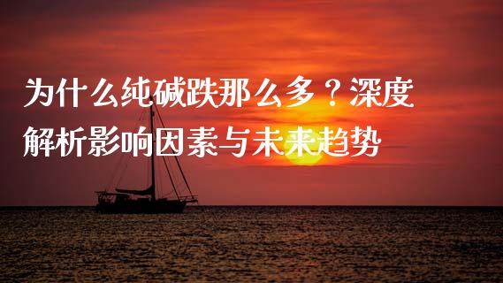 为什么纯碱跌那么多？深度解析影响因素与未来趋势_https://cj001.lansai.wang_保险问答_第1张