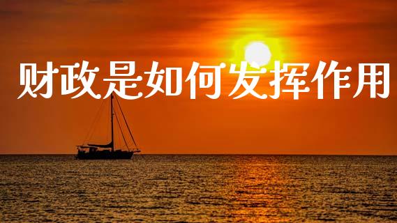 财政是如何发挥作用_https://cj001.lansai.wang_会计问答_第1张
