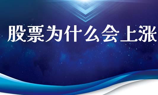 股票为什么会上涨_https://cj001.lansai.wang_保险问答_第1张