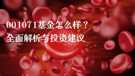 001071基金怎么样？全面解析与投资建议_https://cj001.lansai.wang_会计问答_第1张
