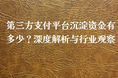 第三方支付平台沉淀资金有多少？深度解析与行业观察_https://cj001.lansai.wang_保险问答_第1张