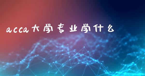 acca大学专业学什么_https://cj001.lansai.wang_会计问答_第1张