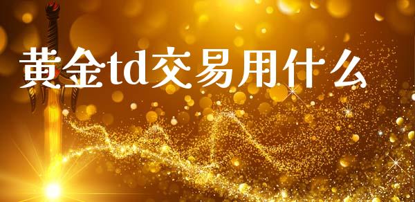 黄金td交易用什么_https://cj001.lansai.wang_财经问答_第1张