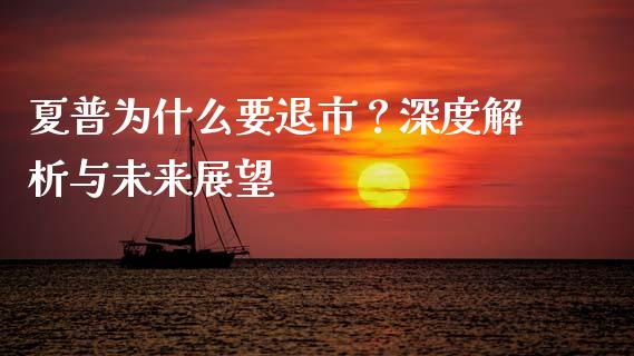 夏普为什么要退市？深度解析与未来展望_https://cj001.lansai.wang_会计问答_第1张