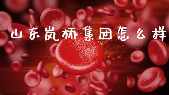 山东岚桥集团怎么样_https://cj001.lansai.wang_期货问答_第1张
