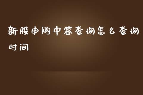 新股申购中签查询怎么查询时间_https://cj001.lansai.wang_股市问答_第1张