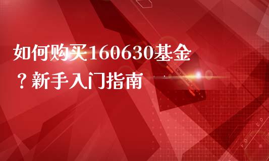 如何购买160630基金？新手入门指南_https://cj001.lansai.wang_金融问答_第1张