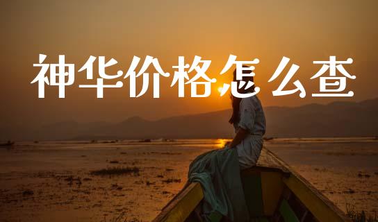 神华价格怎么查_https://cj001.lansai.wang_股市问答_第1张