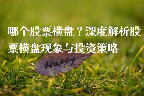 哪个股票横盘？深度解析股票横盘现象与投资策略_https://cj001.lansai.wang_金融问答_第1张