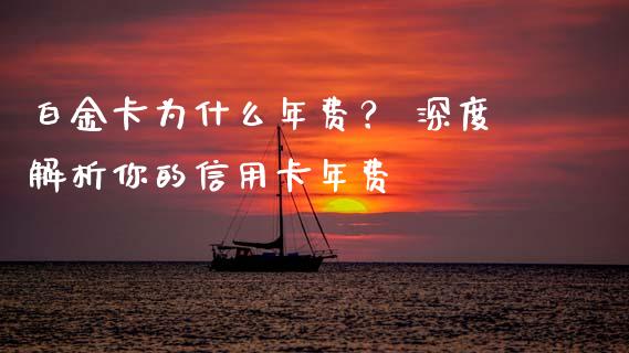 白金卡为什么年费？ 深度解析你的信用卡年费_https://cj001.lansai.wang_保险问答_第1张