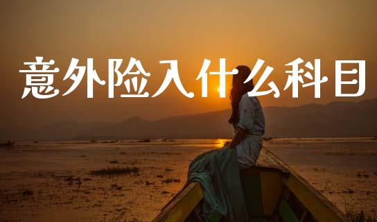 意外险入什么科目_https://cj001.lansai.wang_会计问答_第1张