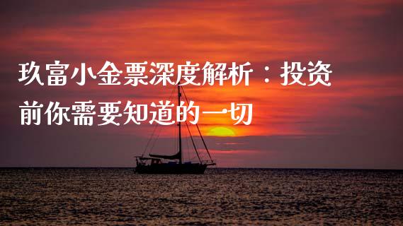 玖富小金票深度解析：投资前你需要知道的一切_https://cj001.lansai.wang_会计问答_第1张