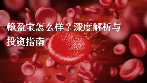 稳盈宝怎么样？深度解析与投资指南_https://cj001.lansai.wang_会计问答_第1张