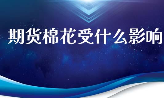 期货棉花受什么影响_https://cj001.lansai.wang_期货问答_第1张