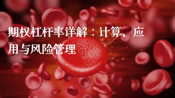 期权杠杆率详解：计算、应用与风险管理_https://cj001.lansai.wang_财经问答_第1张