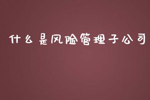 什么是风险管理子公司_https://cj001.lansai.wang_财经问答_第1张