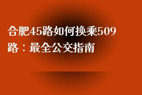 合肥45路如何换乘509路：最全公交指南_https://cj001.lansai.wang_股市问答_第1张