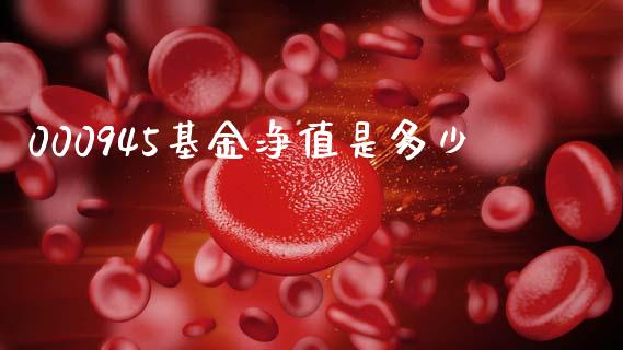 000945基金净值是多少_https://cj001.lansai.wang_股市问答_第1张