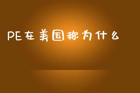 PE在美国称为什么_https://cj001.lansai.wang_股市问答_第1张
