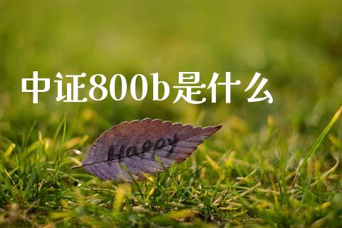 中证800b是什么_https://cj001.lansai.wang_会计问答_第1张