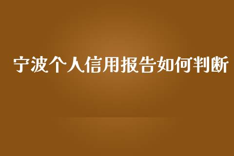 宁波个人信用报告如何判断_https://cj001.lansai.wang_金融问答_第1张