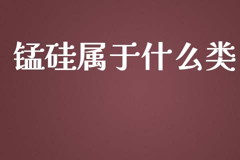 锰硅属于什么类_https://cj001.lansai.wang_会计问答_第1张