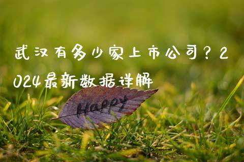 武汉有多少家上市公司?2024最新数据详解_理财问答_第1张_财经百问网 武汉有多少家上市公司?2024最新数据详解_https://cj001.lansai.wang_理财问答_第1张