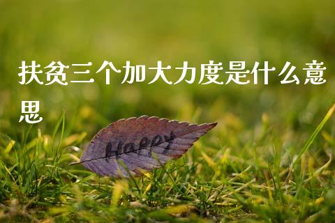 扶贫三个加大力度是什么意思_https://cj001.lansai.wang_期货问答_第1张