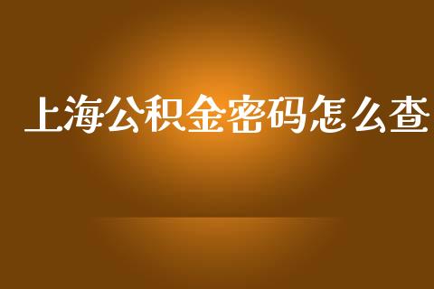 上海公积金密码怎么查_https://cj001.lansai.wang_保险问答_第1张