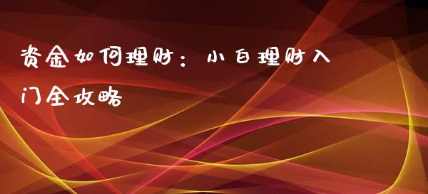 资金如何理财：小白理财入门全攻略_https://cj001.lansai.wang_股市问答_第1张