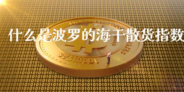什么是波罗的海干散货指数_财经问答_第1张_财经百问网 什么是波罗的海干散货指数_https://cj001.lansai.wang_财经问答_第1张
