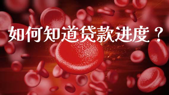 如何知道贷款进度？_https://cj001.lansai.wang_财经百问_第1张