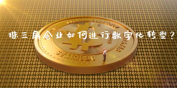 珠三角企业如何进行数字化转型？_https://cj001.lansai.wang_会计问答_第1张