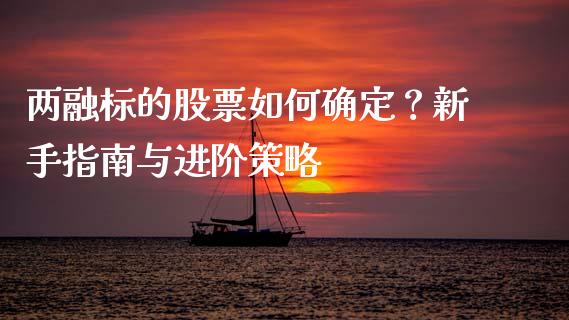 两融标的股票如何确定？新手指南与进阶策略_https://cj001.lansai.wang_理财问答_第1张