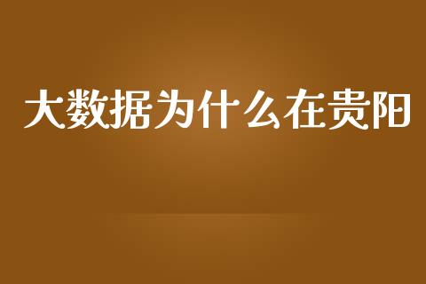 大数据为什么在贵阳_https://cj001.lansai.wang_财经百问_第1张