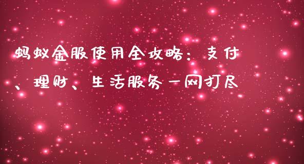 蚂蚁金服使用全攻略：支付、理财、生活服务一网打尽_https://cj001.lansai.wang_保险问答_第1张