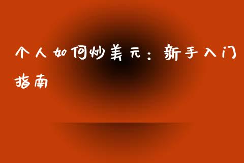个人如何炒美元：新手入门指南_https://cj001.lansai.wang_期货问答_第1张