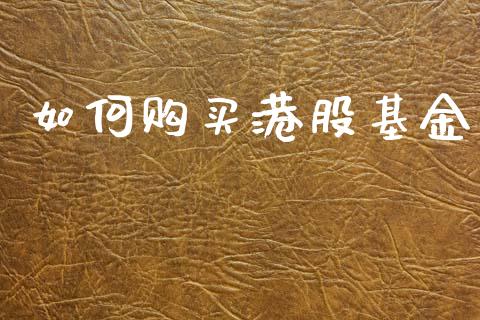 如何购买港股基金_https://cj001.lansai.wang_财经问答_第1张