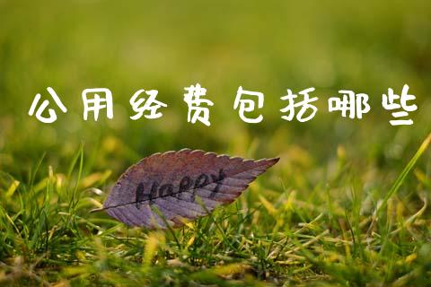 公用经费包括哪些_https://cj001.lansai.wang_理财问答_第1张