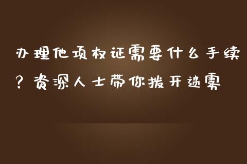 办理他项权证需要什么手续？资深人士带你拨开迷雾_https://cj001.lansai.wang_金融问答_第1张