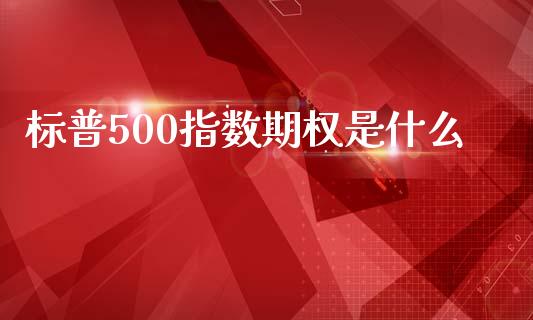 标普500指数期权是什么_https://cj001.lansai.wang_期货问答_第1张