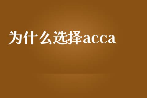 为什么选择acca_https://cj001.lansai.wang_会计问答_第1张