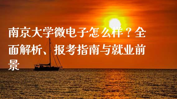 南京大学微电子怎么样？全面解析、报考指南与就业前景_https://cj001.lansai.wang_财经百问_第1张