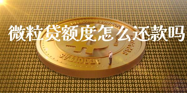 微粒贷额度怎么还款吗_https://cj001.lansai.wang_理财问答_第1张
