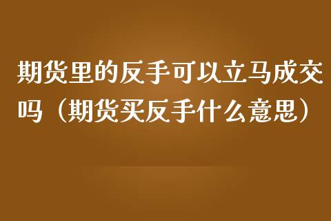 期货里的反手可以立马成交吗（期货买反手什么意思）_https://cj001.lansai.wang_会计问答_第1张