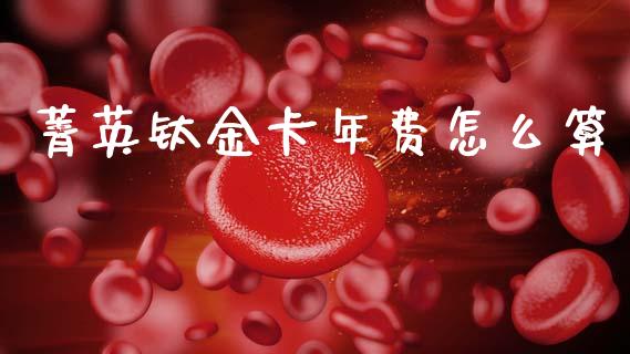 菁英钛金卡年费怎么算_https://cj001.lansai.wang_金融问答_第1张