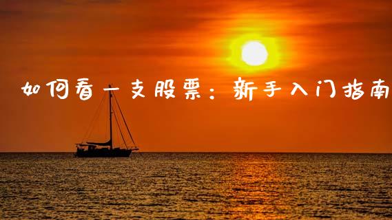 如何看一支股票：新手入门指南_https://cj001.lansai.wang_财经问答_第1张